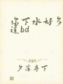 你下水好多下水道bd