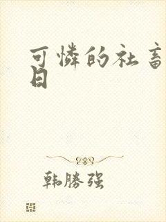 可怜的社畜东度日