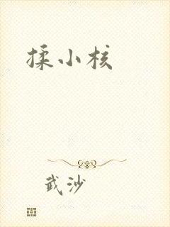 揉小核封面