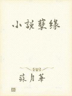 小说孽缘