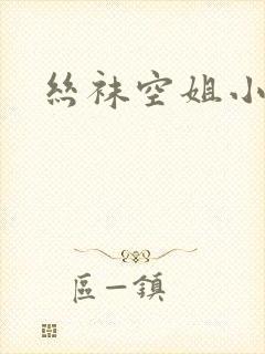 丝袜空姐小说