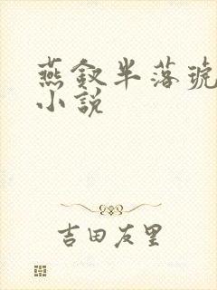 燕钗半落琥珀糖小说