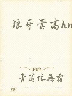 狼牙套高hnp