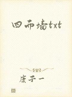 四面墙txt封面