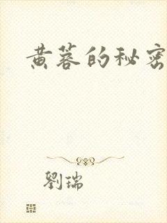 黄蓉的秘密封面