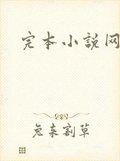 完本小说网
