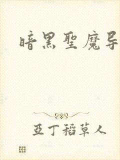 暗黑圣魔导