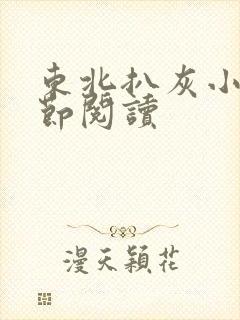 东北扒灰小说分节阅读