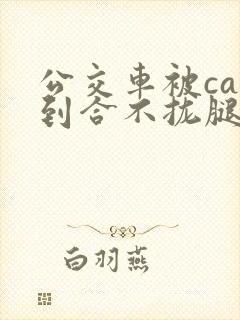 公交车被cao到合不拢腿视频