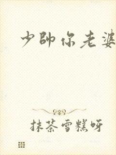 少帅你老婆封面