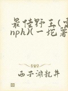 最佳野王(电竞nph)(一坨薯饼)