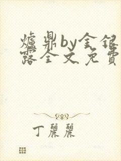 炉鼎by金银花露全文免费阅读笔趣阁封面