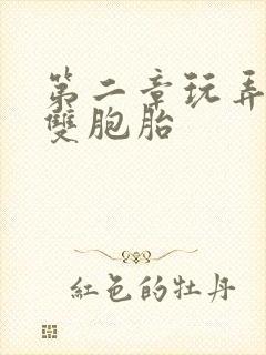 第二章玩弄少妇双胞胎封面