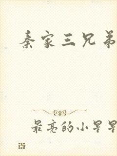 秦家三兄弟封面