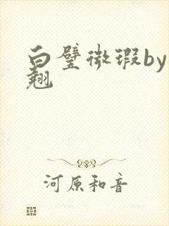 白璧微瑕by连翘封面