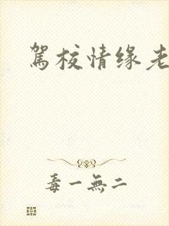 驾校情缘老赵