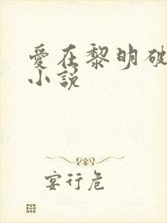 爱在黎明破晓前小说