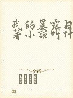 我的暴露日记原著小说叫什么封面