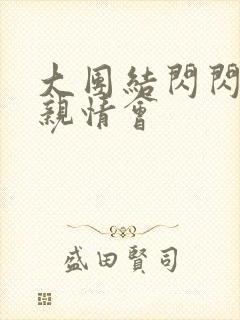 大团结闪闪发光亲情会封面