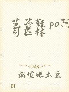 芭蕾鞋 po阿司匹林封面