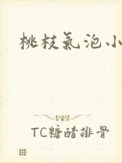 桃枝气泡小说
