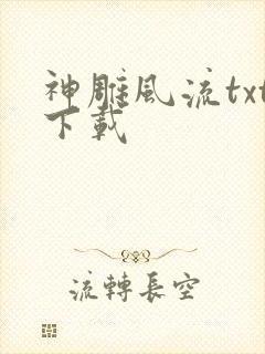 神雕风流txt下载