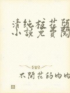 清纯校花堕落记小说免费阅读封面