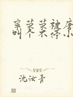 宁荣荣被唐三桶叫个不停小说