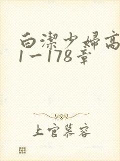 白洁少妇高义第1一178章封面