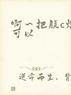 啊～把朕c烂都可以封面