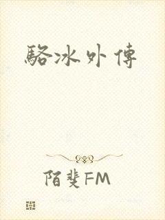 骆冰外传封面