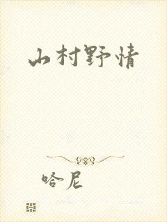 山村野情封面