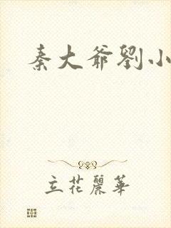 秦大爷刘小静