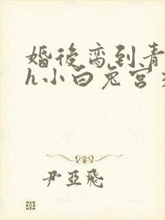 婚后脔到青梅哭h小白兔宫交h封面