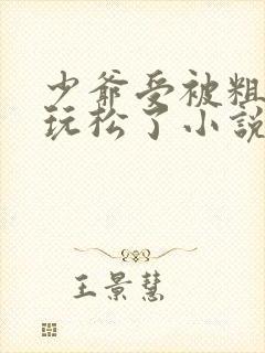 少爷受被粗汉H玩松了小说封面