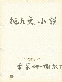 纯h文小说