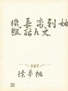机长脔到她哭h粗话h文封面