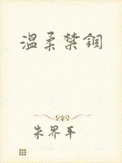 温柔禁锢封面