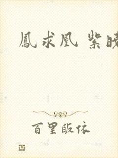 凤求凰 紫晓