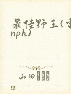 最佳野王(电竞nph)封面
