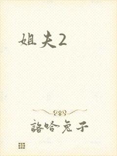 姐夫2