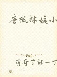 唐枫林姨小说