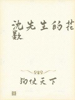 沈先生的花式调数封面