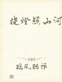 提灯照山河