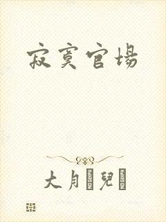 寂寞官场