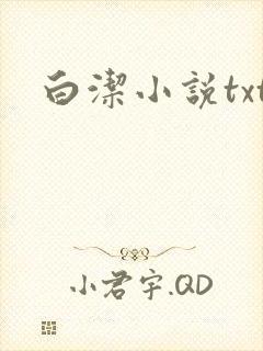 白洁小说txt