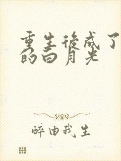 重生后成了皇帝的白月光封面