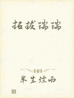 拓拔瑞瑞封面