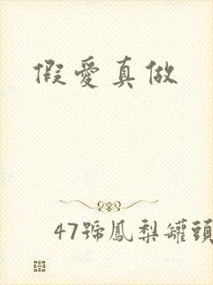 假爱真做