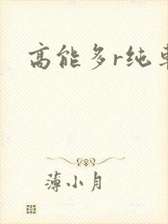 高能多r纯车封面